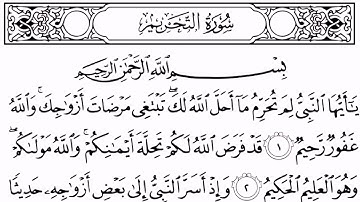 سورة التحريم مكتوبة || سورة رقم 66
