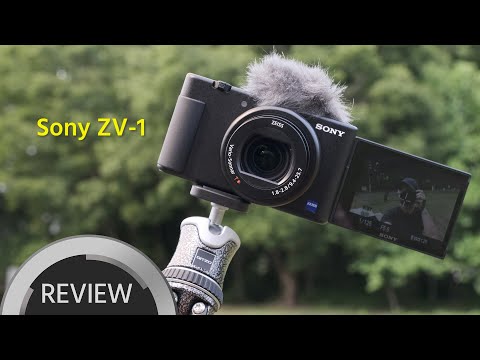 Sony ZV-1 Review  - A New Camera Not Only for Vloggers