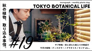 TOKYO BOTANICAL LIFE - vol.19 秋の植物室内取り込み開始  / この秋の新入りコーデックスを紹介