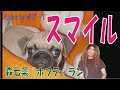 スマイル - 森七菜(ホフディラン) Cover by ポギーT [説明欄に歌詞コード付]