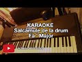 ❌Salcâmule de la drum❌ - KARAOKE (Fa ' Maj)