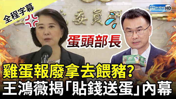 【全程字幕】鸡蛋报废拿去喂猪？　王鸿薇揭“贴钱送蛋”内幕：闹笑话 @ChinaTimes - 天天要闻