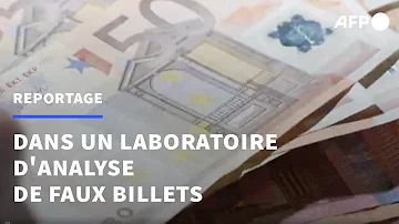 Che ruolo ha la BCE?