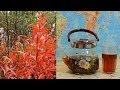 Иван-чай осенний 🌺🌿🌿 "Злата осень" природной ферментации. Russian tea.