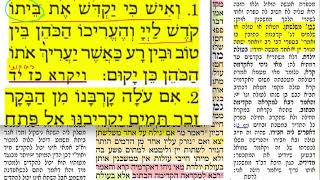 הדף היומי מסכת ערכין דף כא Daf yomi Arachin daf 21
