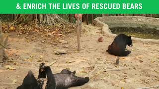 Bear Care Tour Luang Prabang, Laos