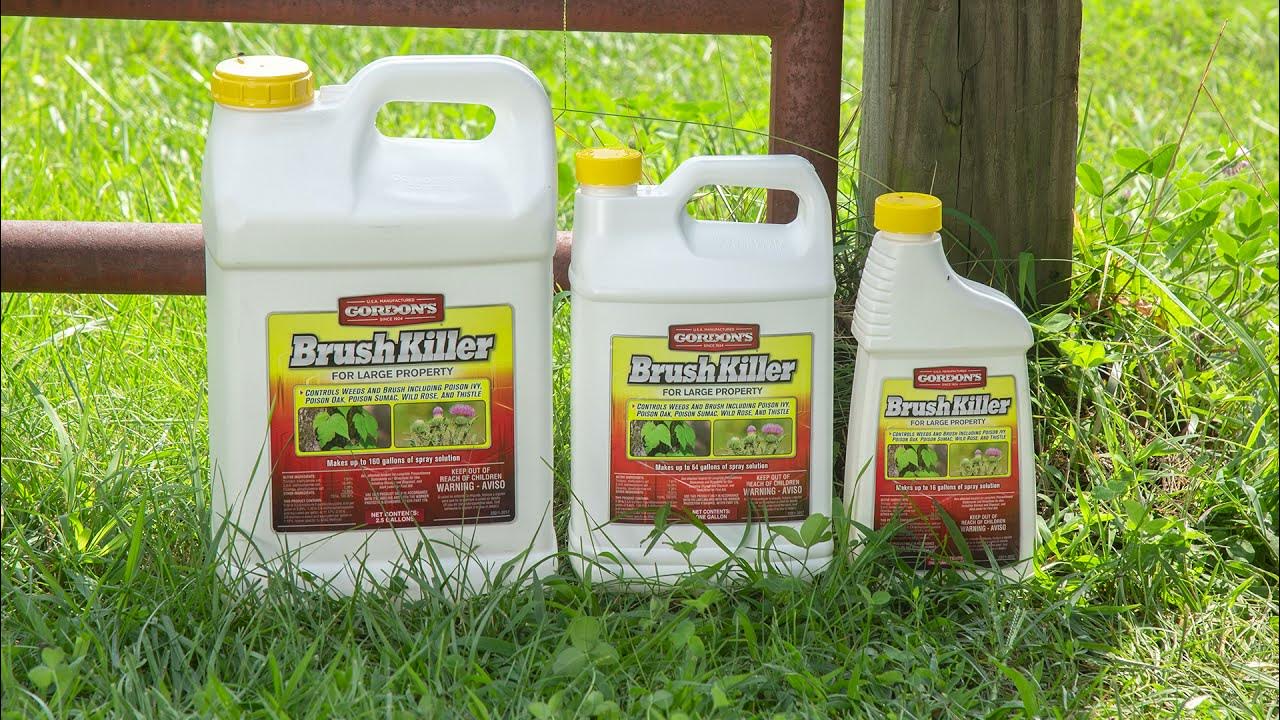 How To Use Gordon's® Brush Killer for Large Property and Brush Killer