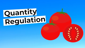 Quantity Regulation in Economics: Subsidies, Taxes & Quotas