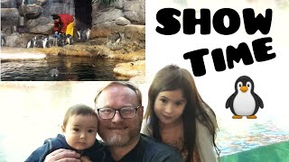 It's SHOW TIME for the PENGUINS with Abby| Moody Gardens Texas