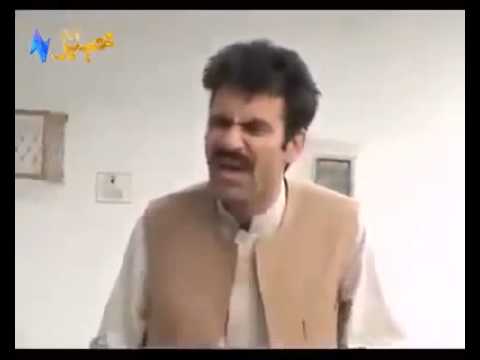 Funny Mp4 Videos