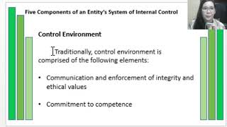 Control Environment