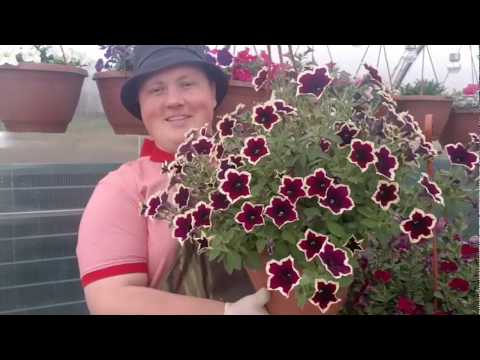 Отличия серверных жестких дисков от десктопных Отличия серверных жестких дисков от десктопных