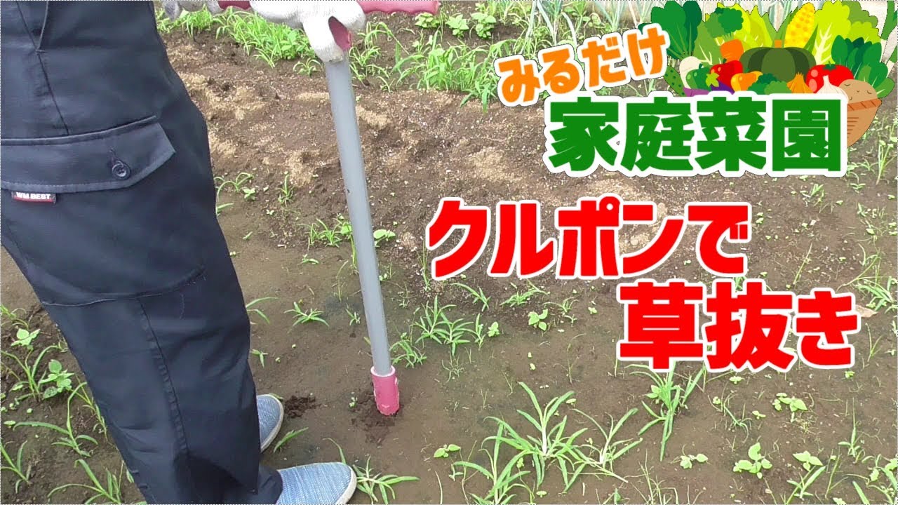市場 除草フォーク 草抜きフォーク 雑草取り 草削り 雑草 草抜き機 草抜き ハンドウィーダー 屋外手動ガーデニング除草ツール木製ハンドルステンレススチールウィーダー雑草プラー Acores Com Br 市場 除草フォーク 草抜きフォーク 雑草取り 草削り 雑草 草抜き機 草抜き ハンドウィーダー 屋外手動ガーデニング除草ツール木製ハンドルステンレススチールウィーダー雑草プラー Acores Com Br