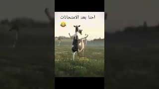 مطفره افكار+احنا بعد الاختبارات😂😂