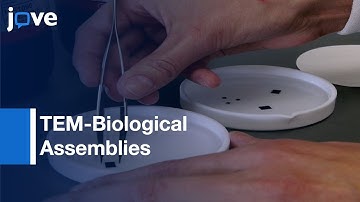 In Situ TEM-Biological Assemblies In Liquid l Protocol Preview