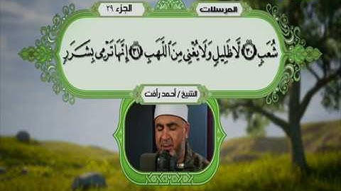سورة الانسان 29 الى النبأ 40 ـــ احمد رأفت