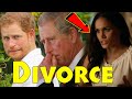 Did Prince harry want the divorce from meghan markle?