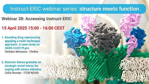 Structure Meets Function Webinar 38 | Instruct-ERIC Access and Internships