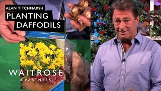 Planting daffodils with Alan Titchmarsh - Waitrose Garden