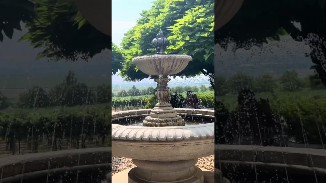 Road Trip Stop 🚐 Wine + Vineyard Views at Hedges Winery