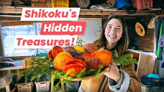 Undiscovered Japan: This Japanese Fishing Village Catches Rainbow Shells