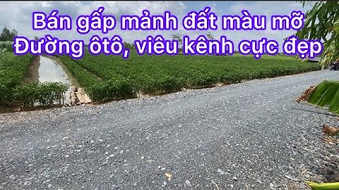 Tập 476: Kẹt tiền cần bán gấp, mảnh đất cực đẹp tại huyện Gò Công tây tỉnh Tiền Giang ( Đồng Tháp )