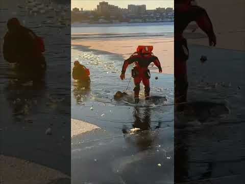 Two Rescuers on a Mission to Save Drowning Dog under Frozen Lake