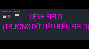 LỆNH FIELD CƠ BẢN SỬ - DỤNG BIẾN FIELD TRONG AUTOCAD ĐỂ TỰ ĐỘNG CẬP NHẬT THÔNG TIN TỶ LỆ BẢN VẼ #ky