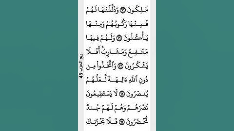 أيات من سورة يس.. بصوت.. محارب حميدة الشريف