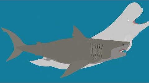 (No thumb) livyatan vs megalodon