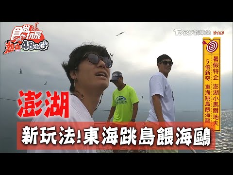 【澎湖】新玩法！東海跳島餵海鷗 【食尚玩家熱血48小時】20200706 (2/4)