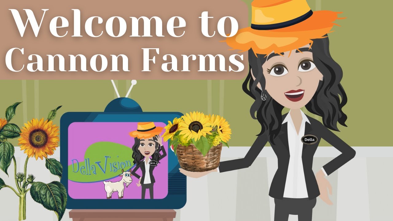 Things to do in Ocala and surrounding areas! Great fun things for 55+ community folks!