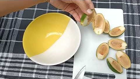 Khasiat Buah Pinang Muda ( Belum Banyak Yang Tau )