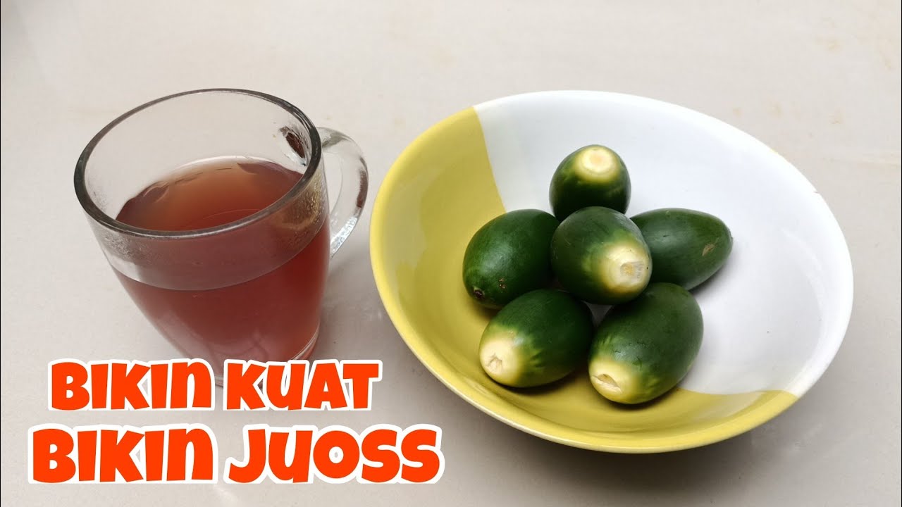 Khasiat Buah Pinang Muda ( Belum Banyak Yang Tau ) 