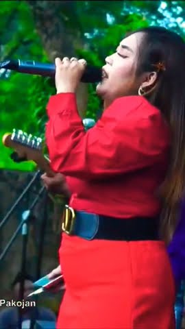 Ku Ingin || Voc. Evi Silvia #dangdutlawas