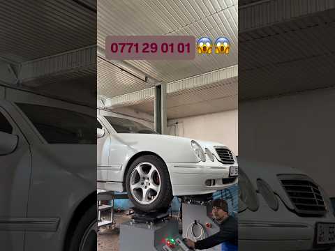 Mama Cat Feels Insecure About Not Knowing Makeup—Ginger Kitten Helps Her Shine for the Festival 💄🐾