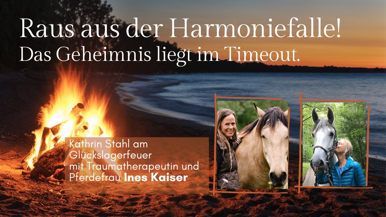 Wenn du denkst, Beziehung muss immer harmonisch sein, hast du schon verloren.