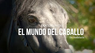 El Mundo del Caballo en Andalucía