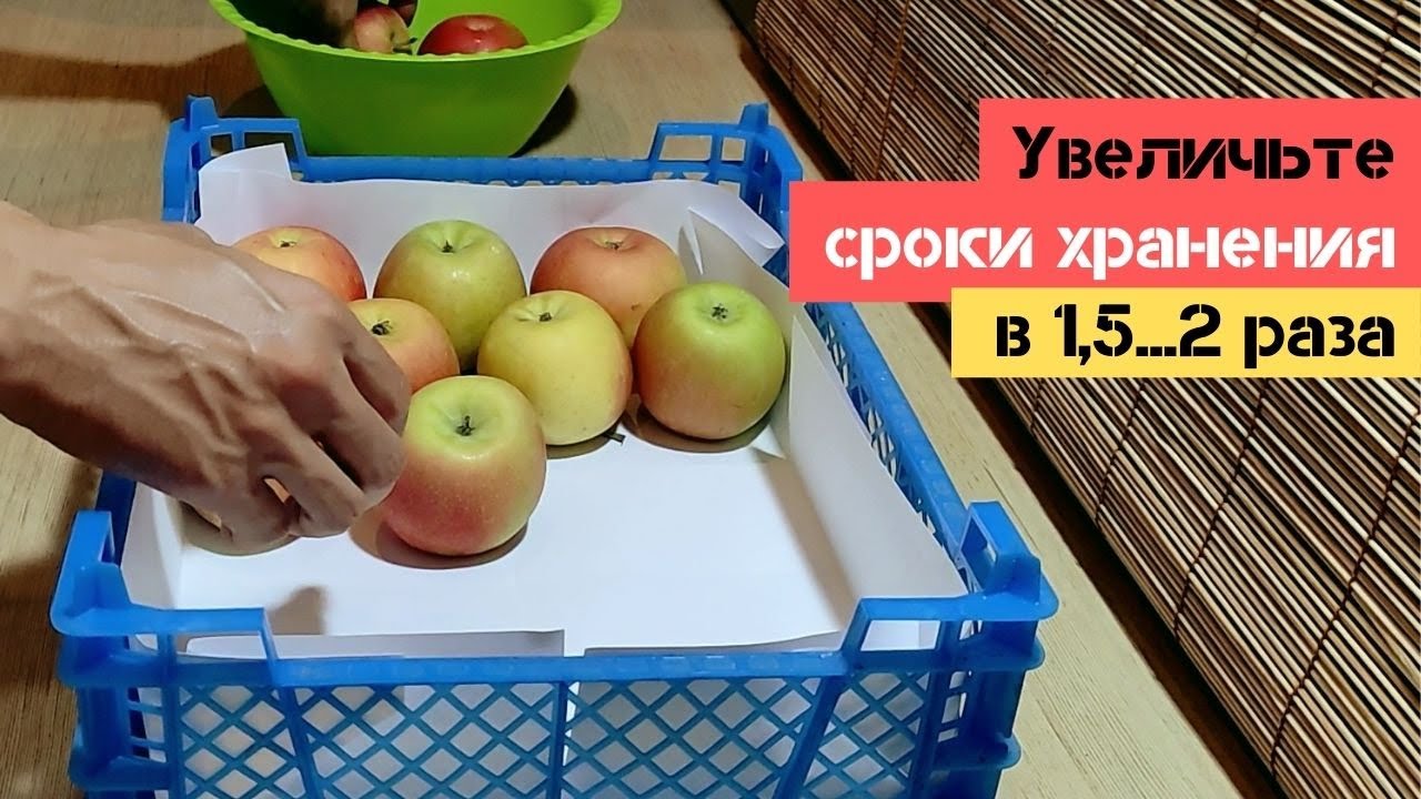 Яблоки / Увеличьте СРОКИ ХРАНЕНИЯ в 1,5...2 раза, вне зависимости от сорта / Огород дяди Вовы