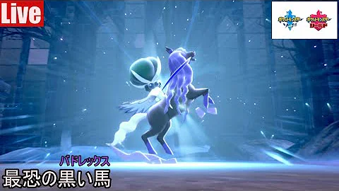 黒バドザシアン構築