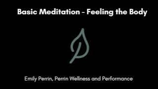 Basic Feeling the Body Meditation
