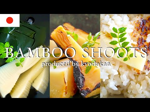 Bamboo Shoot Recipe Japanese