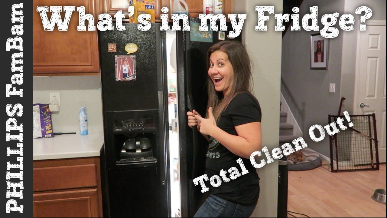 ЧТО В МОЁМ ХОЛОДИЛЬНИКЕ? | КАК ОЧИСТИТЬ И ОРГАНИЗОВАТЬ ХОЛОДИЛЬНИК | PHILLIPS FamBam Clean with Me