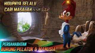 Burung Pelatuk Yg Slalu Cari Masalah Alur Film Woody Woodpecker