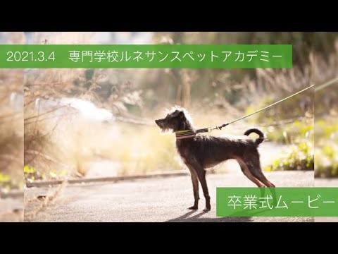 【ダイジェスト】卒業式ムービー【おめでとう】