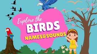 World of birds - FOR KIDS ( with their sounds)  #birdsnameinenglish #birdsforkids
