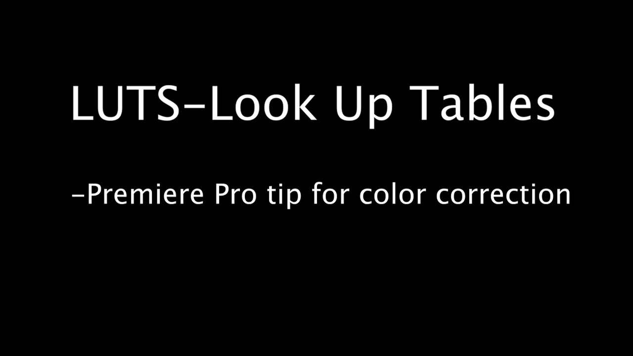 LUT Color Correction Premiere Pro Tutorial- Emma Citro and Max Howarth