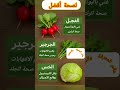٣ خضروات سحرية لصحتك الفجل الجرجير الخس 