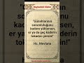 Kaderin tokadını yersin! #mevlana #güzelsözler #love #felsefe #aşk #art #432hz #sorts #muslim #doa