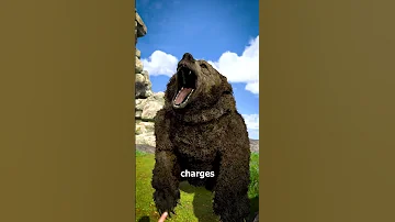 How To Escape A Grizzly Bear Attack 